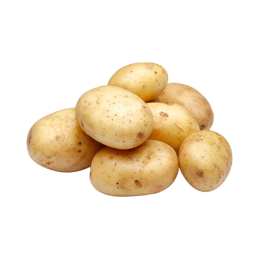 Bio-Kartoffel festkochend
